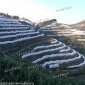 廠家供應防寒布 透氣防寒防霜膜 登豐惠農防凍膜